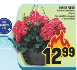 Marché Adonis PANIER FLEURI | BLOOMING FLOWER BASKET offer