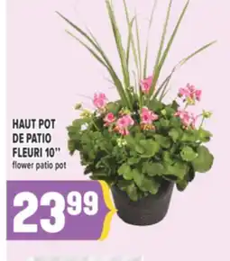 Marché Adonis HAUT POT DE PATIO FLEURI 10 | FLOWER PATIO POT offer