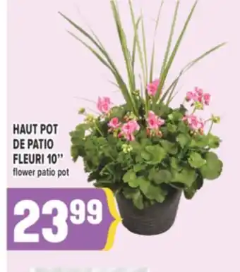 Marché Adonis HAUT POT DE PATIO FLEURI 10 | FLOWER PATIO POT offer