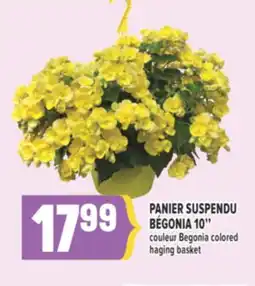Marché Adonis PANIER SUSPENDU BÉGONIA 10 | COULEUR BEGONIA COLORED HAGING BASKET offer