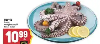 Marché Adonis PIEUVRE | OCTOPUS offer