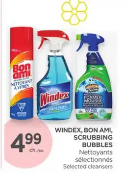 Proxim WINDEX, BON AMI, SCRUBBING BUBBLES offer