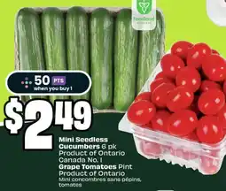 FreshCo Mini seedless cucumbers grape tomatoes pint offer