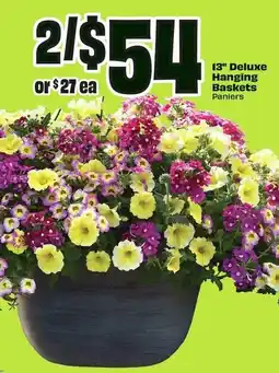 FreshCo Deluxe hanging baskets paniers offer