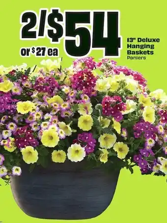 FreshCo Deluxe hanging baskets paniers offer