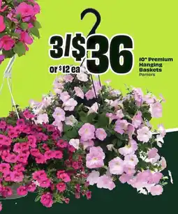 FreshCo Premium hanging baskets offer