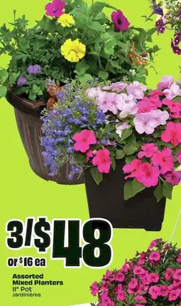 FreshCo Assorted Mixed Planters offer