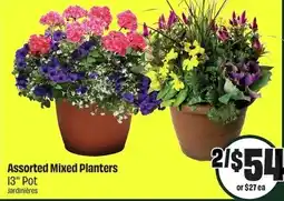 FreshCo Assorted mixed planters offer