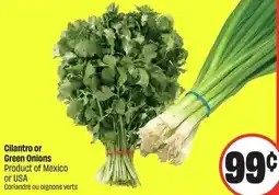FreshCo Cilantro or Green Onions offer