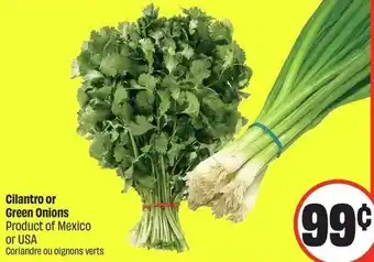 FreshCo Cilantro or Green Onions offer