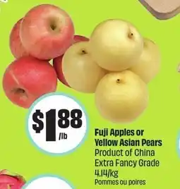 FreshCo Fuji Apples or Yellow Asian Pears offer