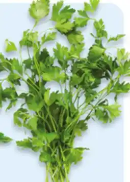 Walmart Flat Parsley offer