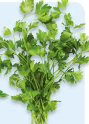 Walmart Flat Parsley offer