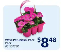 Walmart Wave Petunias 6-Pack offer