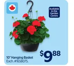 Walmart 10 Hanging Basket offer