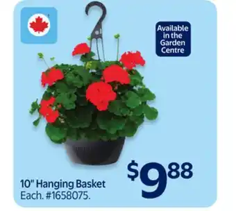 Walmart 10 Hanging Basket offer