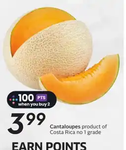 Sobeys Cantaloupes offer