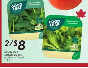 Sobeys GOOD LEAF Lettuce Blends offer