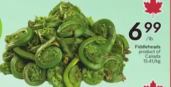 Sobeys Fiddleheads offer