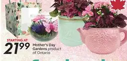 Sobeys Mother's Day Gardens offer