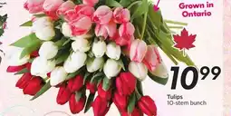 Sobeys Tulips offer