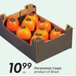 Sobeys Persimmon Cases offer