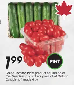 Sobeys Grape Tomato Pints offer