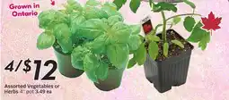 Sobeys Assorted Vegetables or Herbs offer