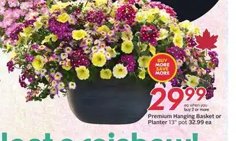 Sobeys Premium Hanging Basket or Planter offer