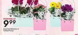 Sobeys Assorted Blooms in Tufted Purse offer