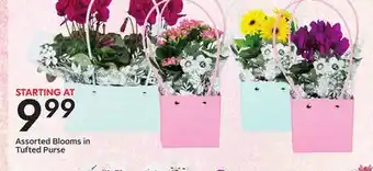Sobeys Assorted Blooms in Tufted Purse offer
