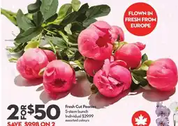 Longo's Fresh Cut Peonies offer