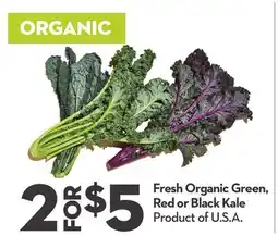 Longo's Fresh Organic Green, Red or Black Kale offer