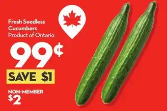 Longo's Fresh Seedless Cucumbers offer