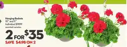 Longo's Hanging Baskets offer