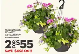 Longo's Hanging Baskets offer