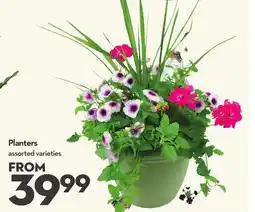 Longo's Planters offer
