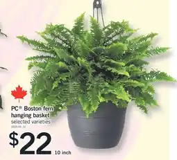 Fortinos PC BOSTON FERN HANGING BASKET, 10 INCH offer