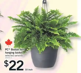 Fortinos PC BOSTON FERN HANGING BASKET, 10 INCH offer