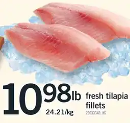 Fortinos FRESH TILAPIA FILLETS offer