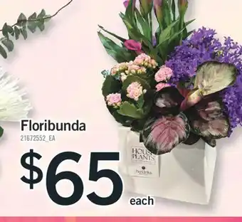 Fortinos FLORIBUNDA offer