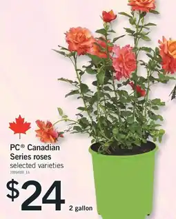 Fortinos PC CANADIAN SERIES ROSES, 2 gallon offer