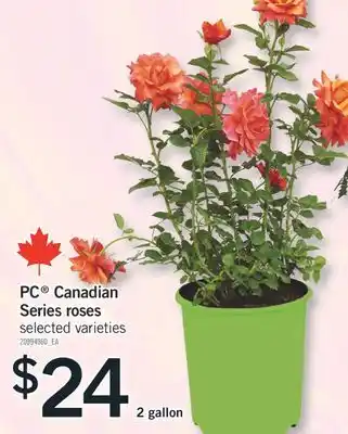 Fortinos PC CANADIAN SERIES ROSES, 2 gallon offer