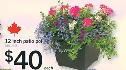 Fortinos 12 INCH PATIO POT offer
