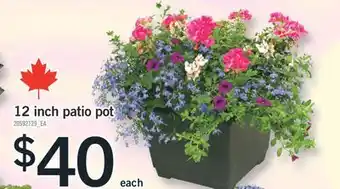 Fortinos 12 INCH PATIO POT offer