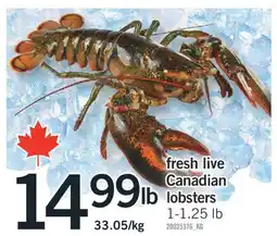 Fortinos FRESH LIVE CANADIAN LOBSTERS, 1-1.25 lb offer