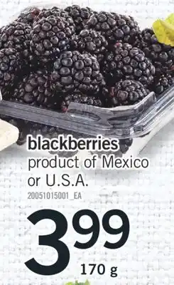 Fortinos BLACKBERRIES, 170 g offer