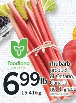 Fortinos RHUBARB offer