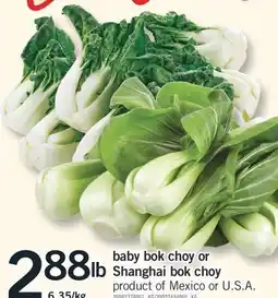 Fortinos BABY BOK CHOY OR SHANGHAI BOK CHOY offer