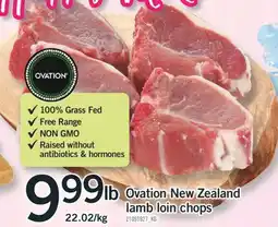 Fortinos OVATION NEW ZEALAND LAMB LOIN CHOPS offer